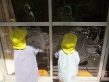 IMG_2597.jpg