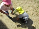 IMG_2651.jpg