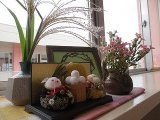 IMG_5093.jpg