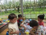 IMG_5324.jpg