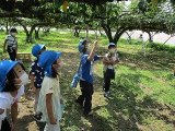 IMG_7003.jpg