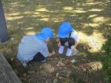 IMG_7014.jpg