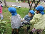 IMG_2784.jpg