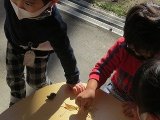 IMG_6475.jpg