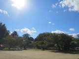 IMG_6495.jpg