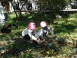 DSC00558.jpg