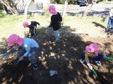 DSC00563.jpg