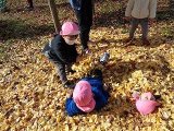 DSC01444.jpg