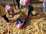 DSC01446.jpg