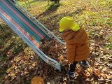 IMG_2567.jpg