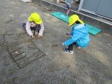 IMG_2623.jpg