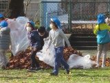 IMG_7379.jpg