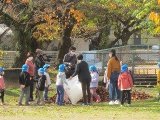 IMG_7381.jpg