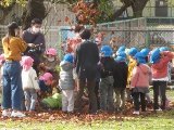 IMG_7385.jpg