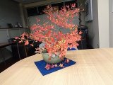 DSC01507.jpg