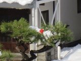 IMG_8129.jpg