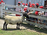 Img_2890