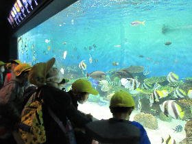 20201006aquarium1.jpg