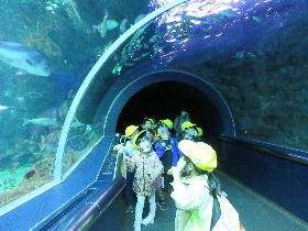 20201006aquarium2.jpg