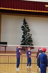 tree2.jpg