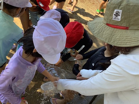 自慢の菜の花畑：3年生総合(4/18) | 葛塚東小学校ブログ