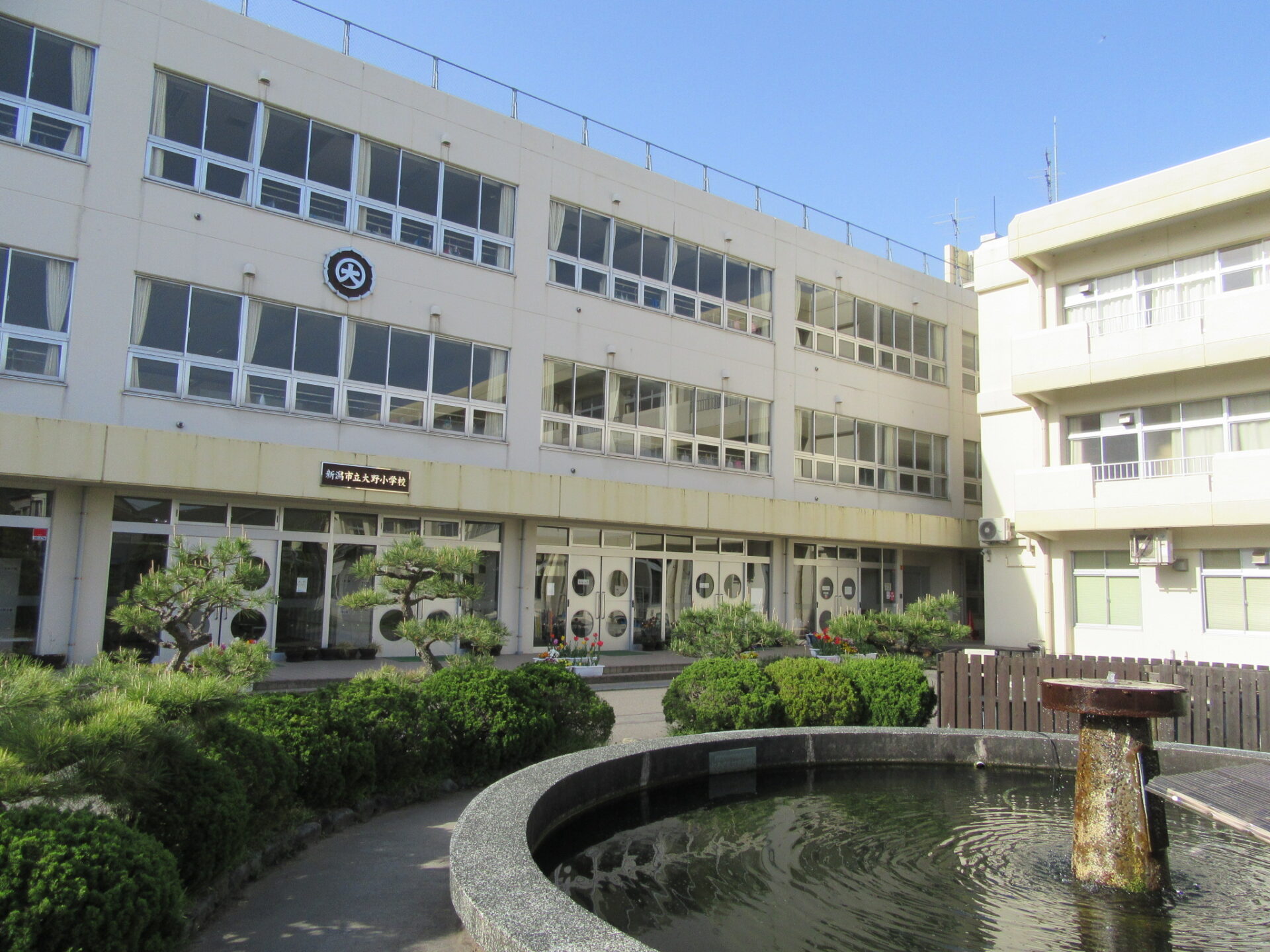 大野小学校ブログ